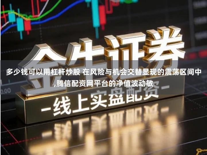多少钱可以用杠杆炒股 在风险与机会交替显现的震荡区间中,腾信配资网平台的净值波动敏